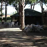 Tramariccia Calvi (Corsica)