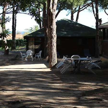 Tramariccia Calvi (Corsica)