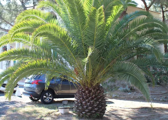 Tramariccia Aparthotel 2*